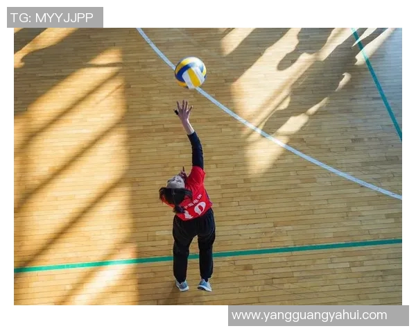 从零基础到高手之路排球配合技巧全解析与实战演练