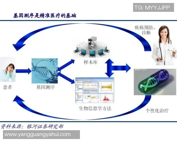 南京羽毛球队实力分析与发展前景的深入探讨与研究