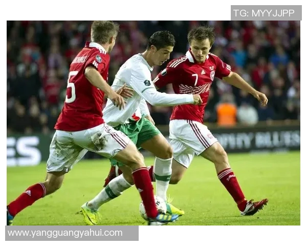 丹麦足球明星现状分析及未来潜力球员的崛起